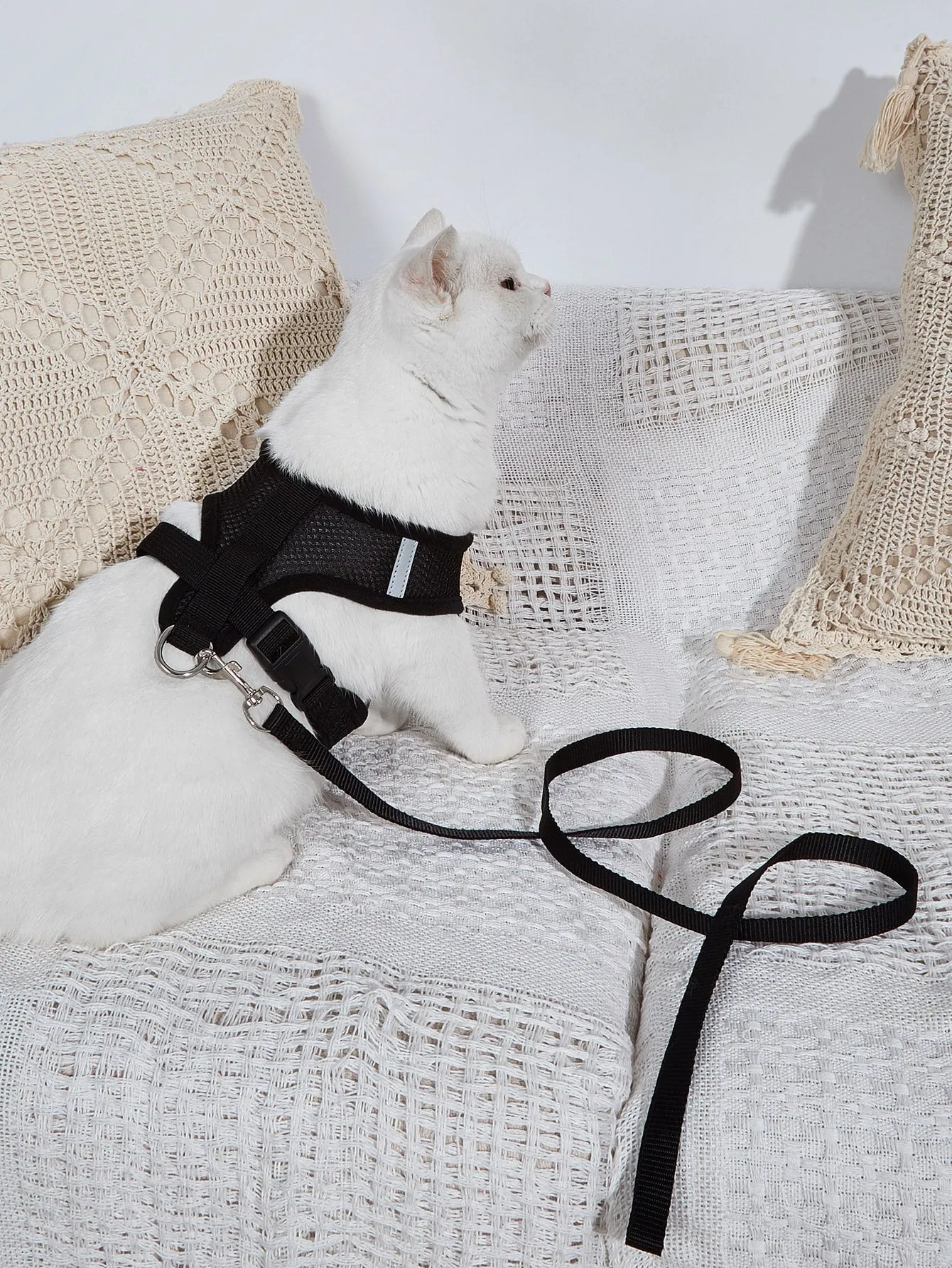 1pc Breathable Cat Harness & 1pc Cat Leash