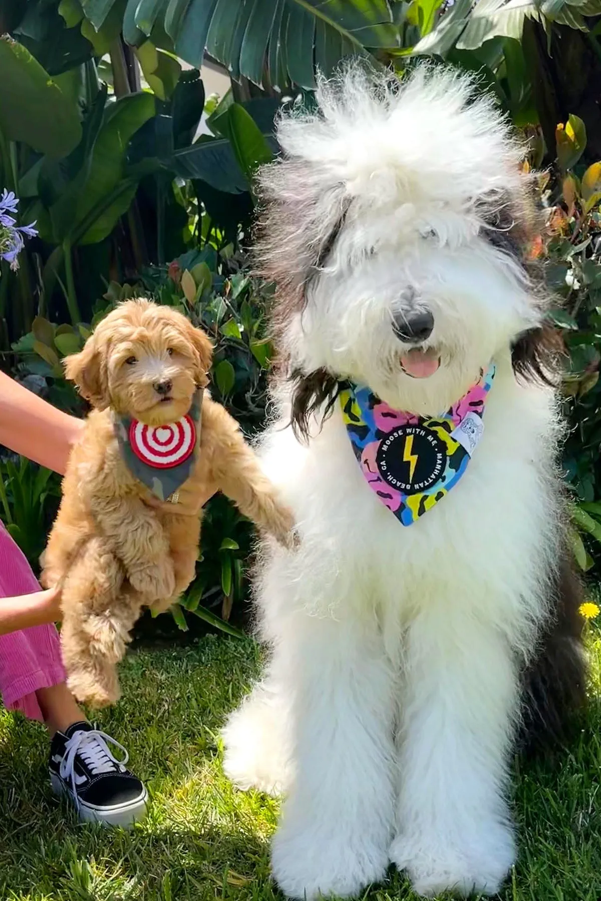 Dog Bandana Camouflage - Customize with Interchangeable Velcro Patches