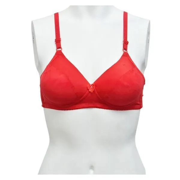 Graceful Soft Padded Everyday Bra