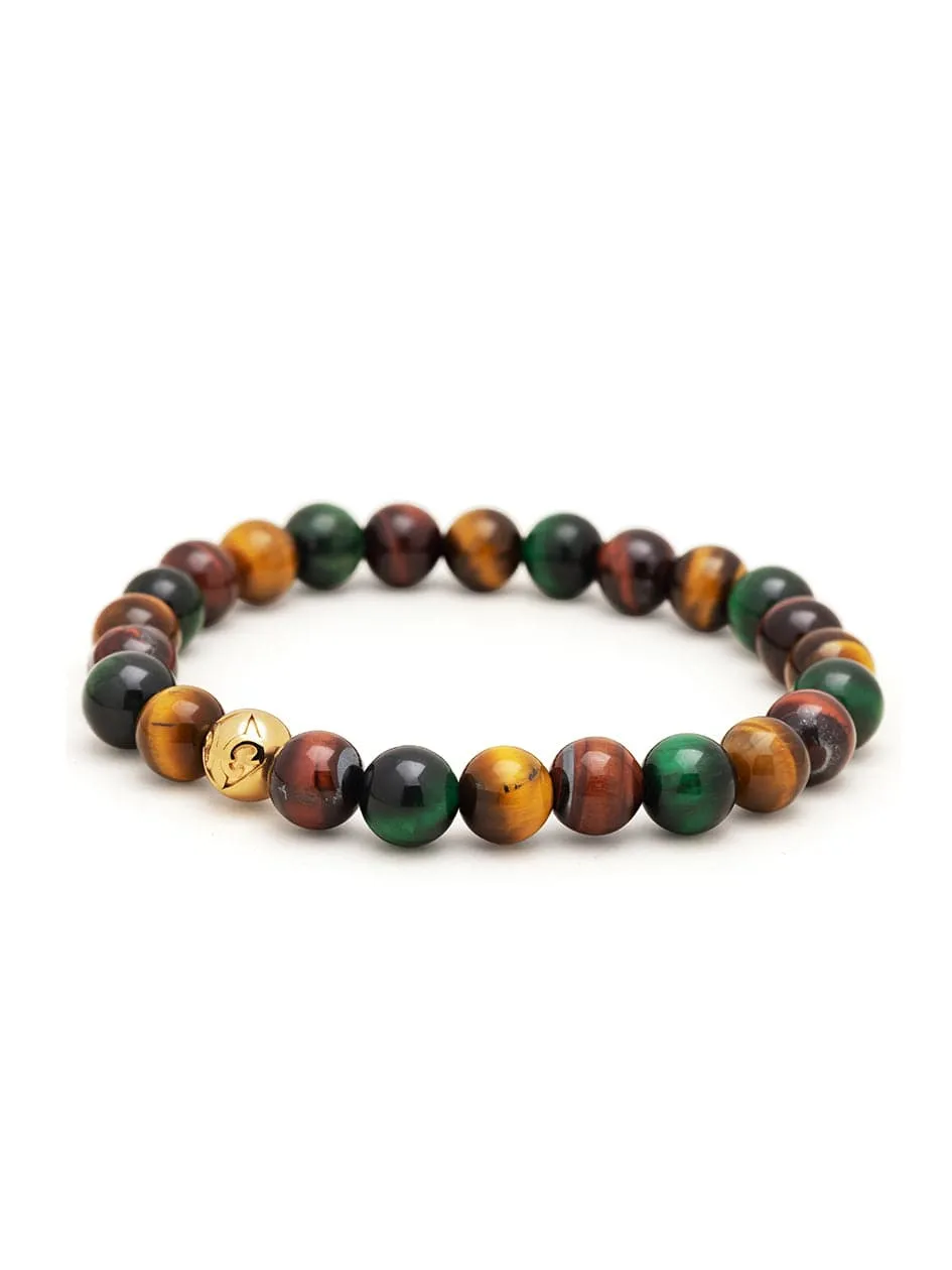 Men's Wristband with Colorful Tiger Eye and Gold