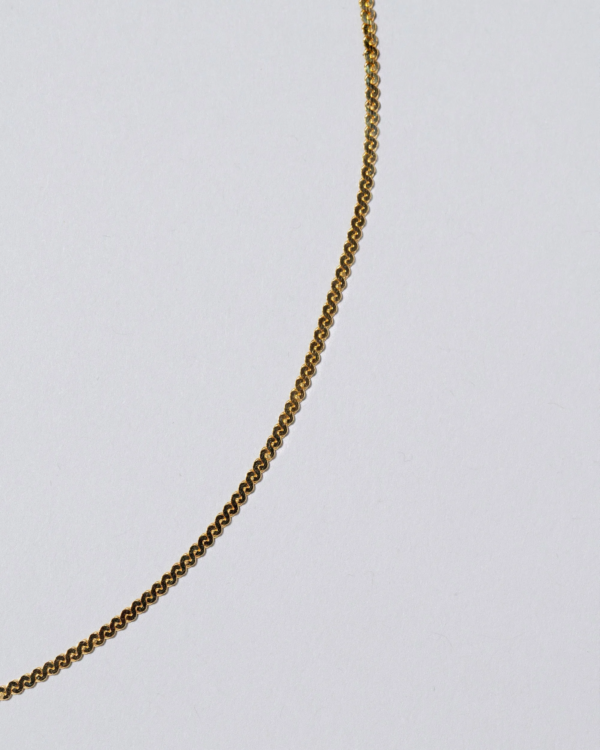 Serpentina Chain Necklace - Final Sale