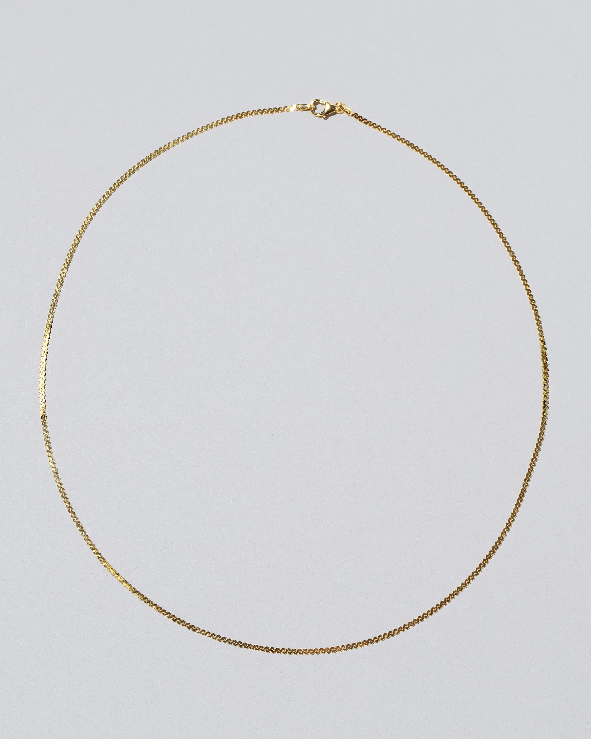 Serpentina Chain Necklace - Final Sale