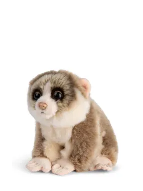 WWF Loris