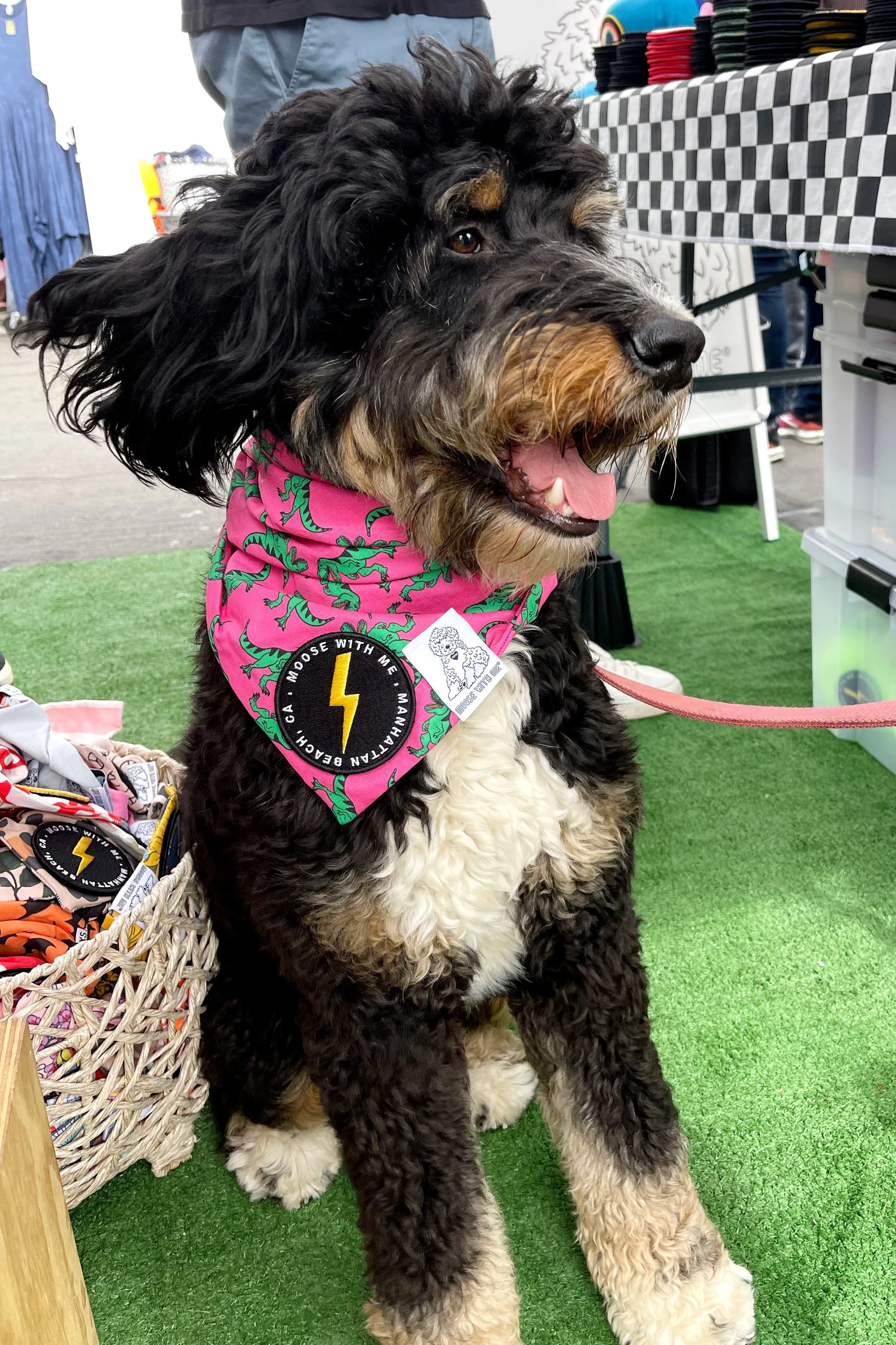 ★Dog Bandana Dinosaur - Customize with Interchangeable Velcro Patches